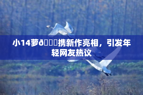 小14萝🔞携新作亮相，引发年轻网友热议