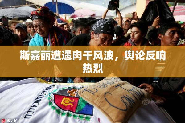 斯嘉丽遭遇肉干风波，舆论反响热烈