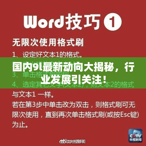 国内9l最新动向大揭秘，行业发展引关注！