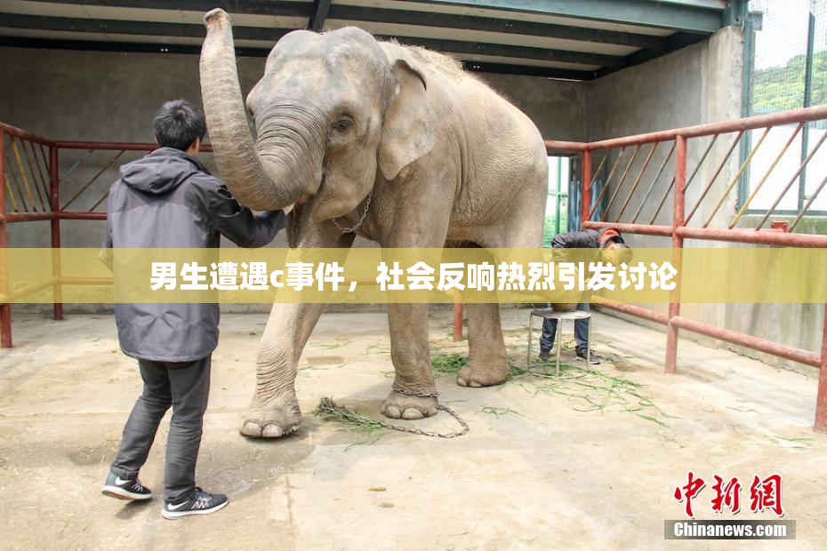 男生遭遇c事件，社会反响热烈引发讨论