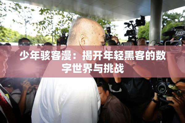 少年骇客漫：揭开年轻黑客的数字世界与挑战