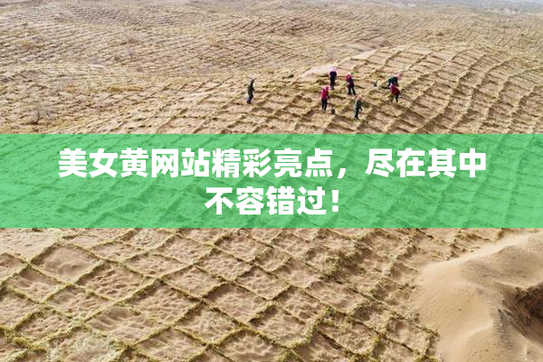 美女黄网站精彩亮点，尽在其中不容错过！
