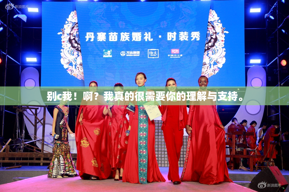 别c我！啊？我真的很需要你的理解与支持。