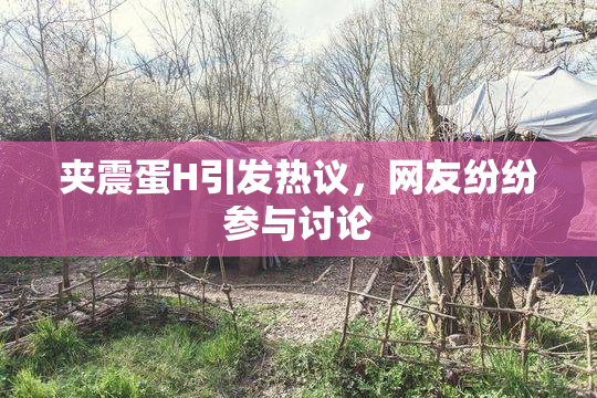 夹震蛋H引发热议，网友纷纷参与讨论