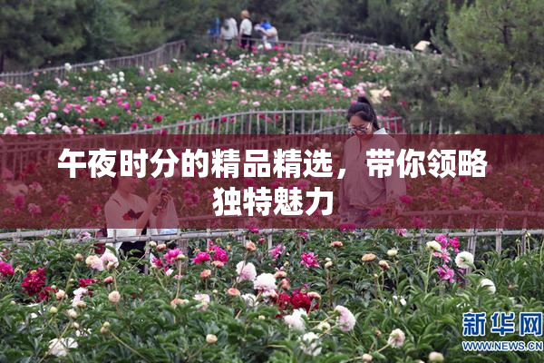 午夜时分的精品精选，带你领略独特魅力