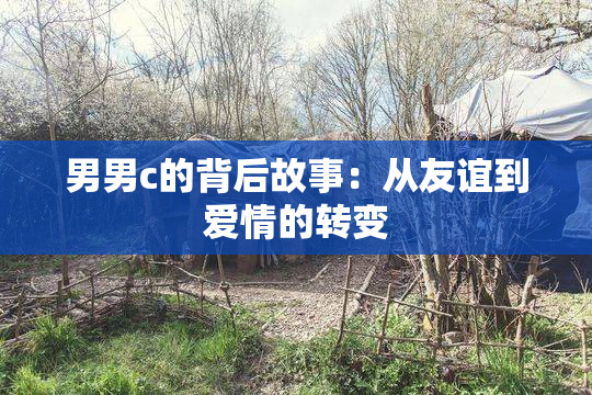 男男c的背后故事：从友谊到爱情的转变