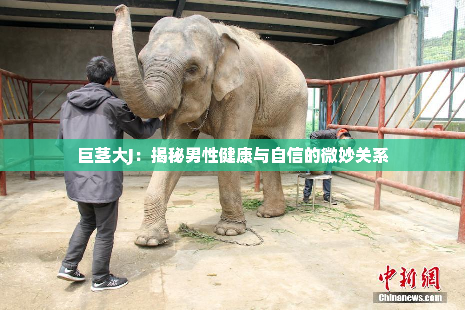 巨茎大J：揭秘男性健康与自信的微妙关系