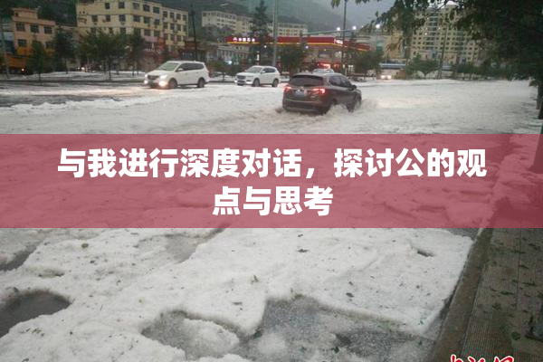 与我进行深度对话，探讨公的观点与思考