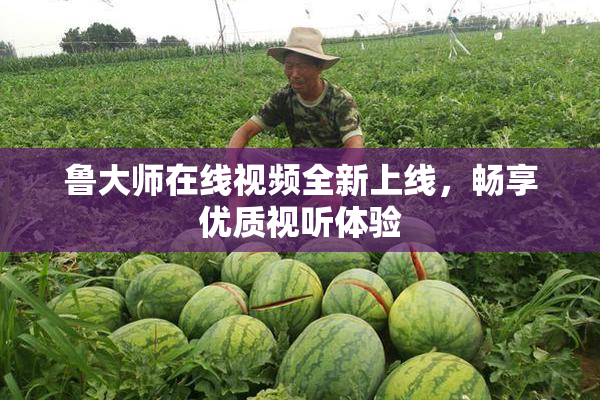 鲁大师在线视频全新上线，畅享优质视听体验