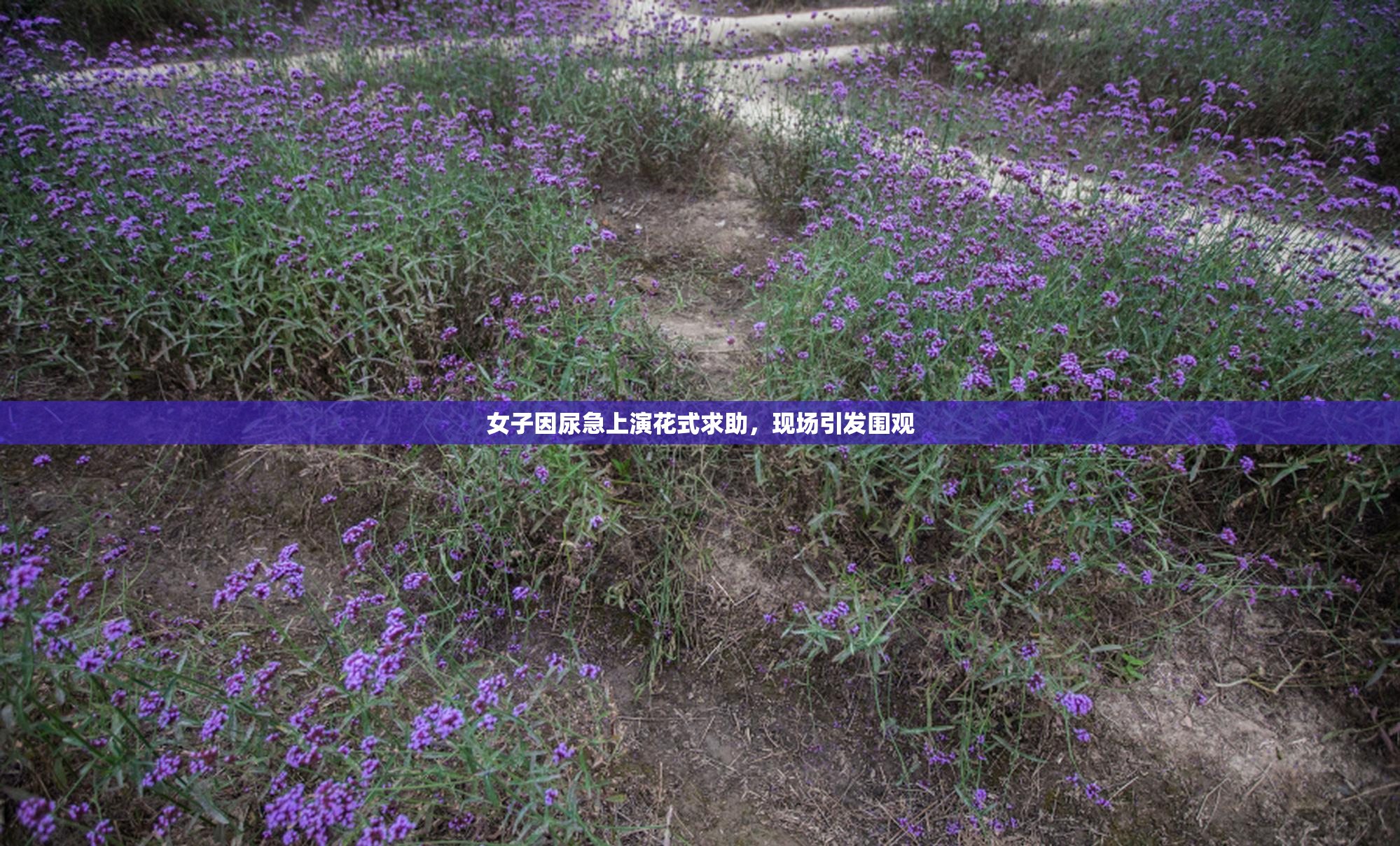 女子因尿急上演花式求助，现场引发围观