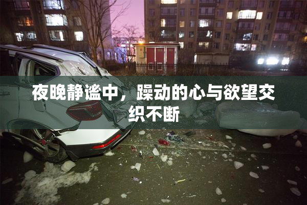 夜晚静谧中，躁动的心与欲望交织不断