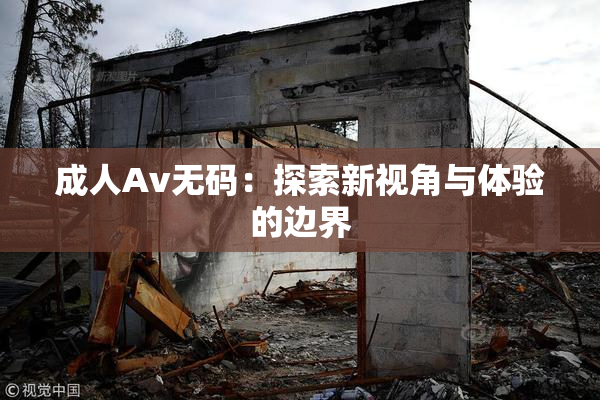 成人Av无码：探索新视角与体验的边界