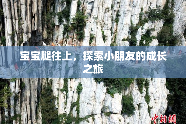 宝宝腿往上，探索小朋友的成长之旅