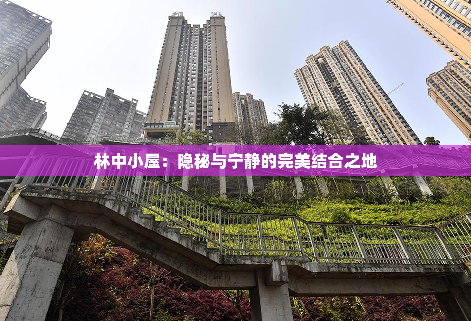 林中小屋：隐秘与宁静的完美结合之地