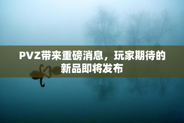 PVZ带来重磅消息，玩家期待的新品即将发布