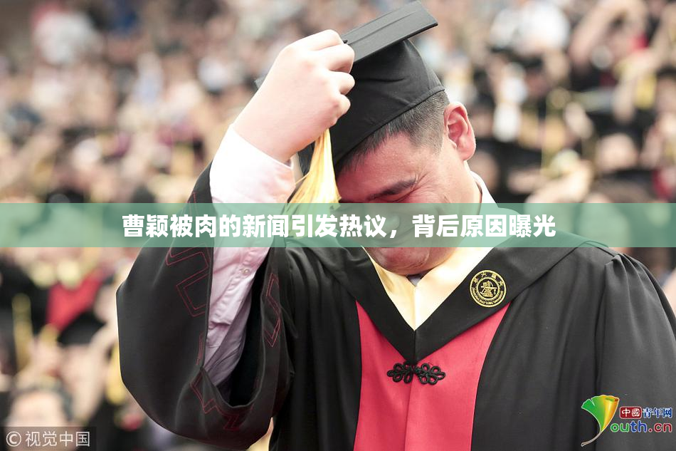 曹颖被肉的新闻引发热议，背后原因曝光