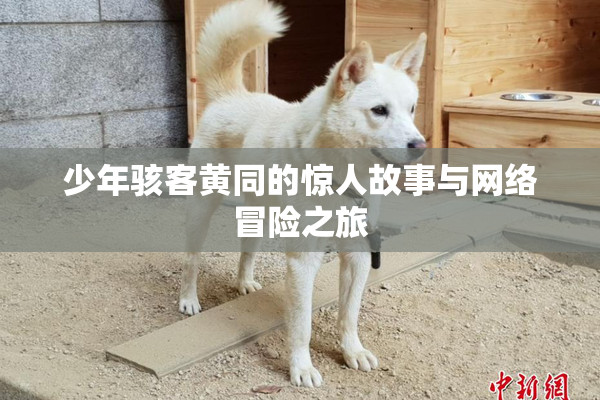 少年骇客黄同的惊人故事与网络冒险之旅