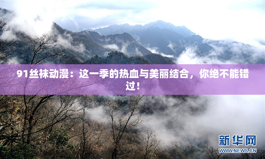 91丝袜动漫：这一季的热血与美丽结合，你绝不能错过！