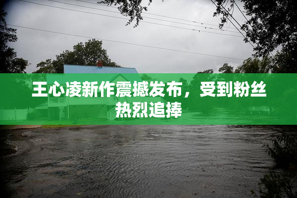 王心凌新作震撼发布，受到粉丝热烈追捧