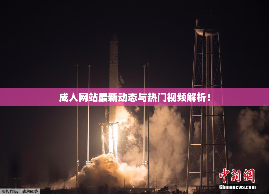成人网站最新动态与热门视频解析！