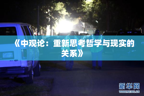 《中观论：重新思考哲学与现实的关系》