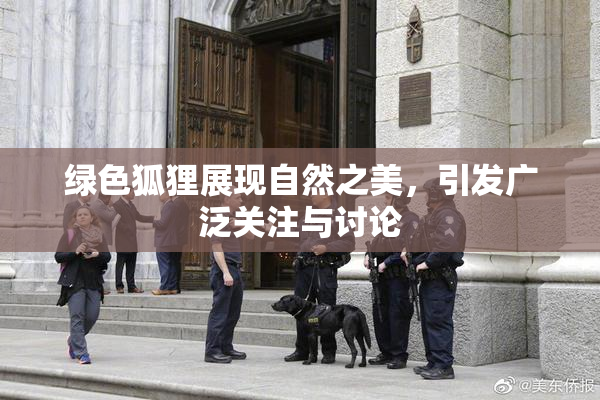 绿色狐狸展现自然之美，引发广泛关注与讨论