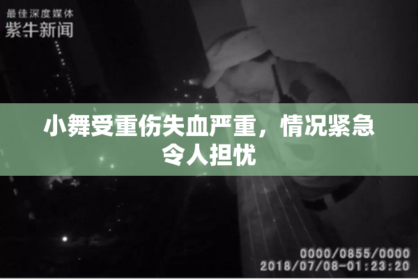 小舞受重伤失血严重，情况紧急令人担忧