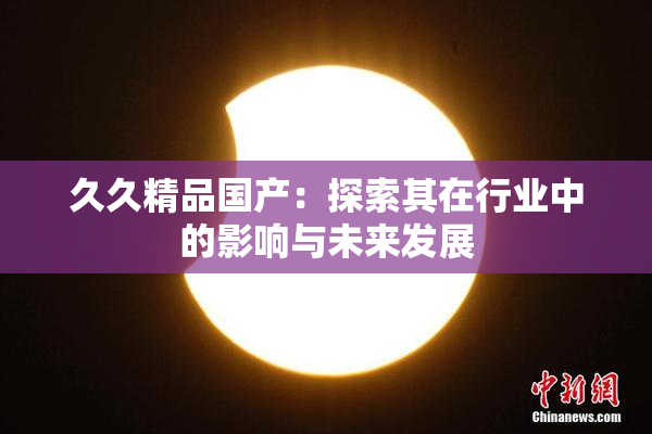 久久精品国产：探索其在行业中的影响与未来发展