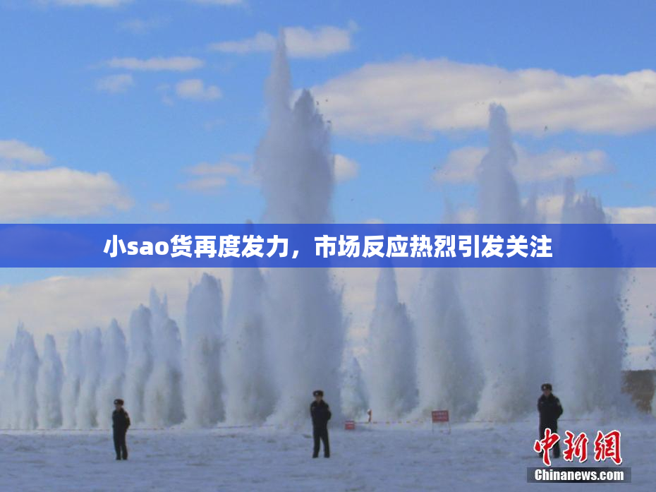 小sao货再度发力，市场反应热烈引发关注