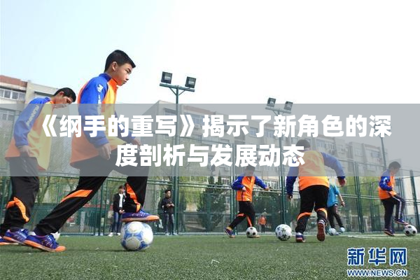 《纲手的重写》揭示了新角色的深度剖析与发展动态
