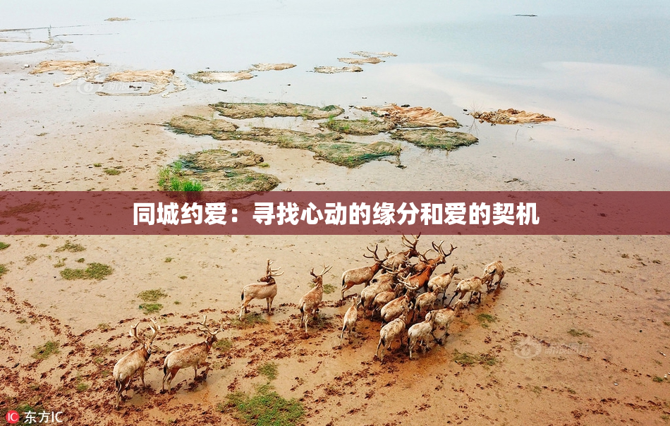 同城约爱：寻找心动的缘分和爱的契机