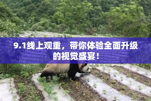 9.1线上观重，带你体验全面升级的视觉盛宴！