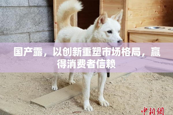 国产露，以创新重塑市场格局，赢得消费者信赖