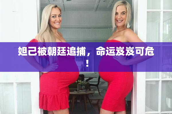 妲己被朝廷追捕，命运岌岌可危！