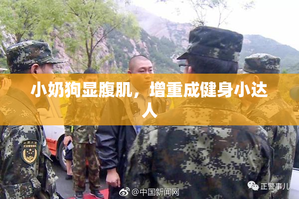 小奶狗显腹肌，增重成健身小达人