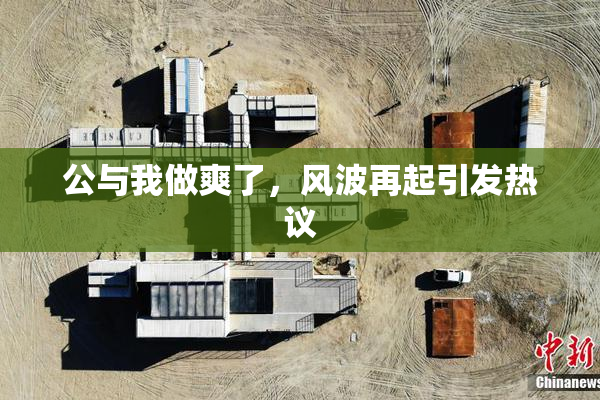 公与我做爽了，风波再起引发热议