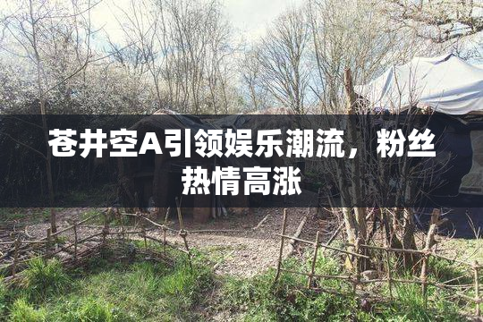 苍井空A引领娱乐潮流，粉丝热情高涨