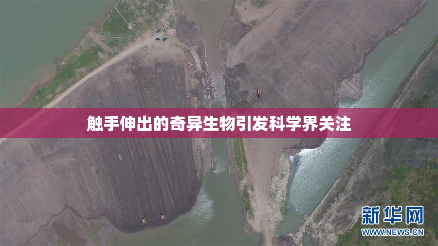 触手伸出的奇异生物引发科学界关注