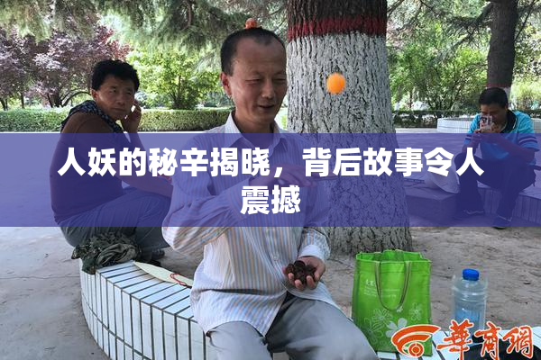人妖的秘辛揭晓，背后故事令人震撼