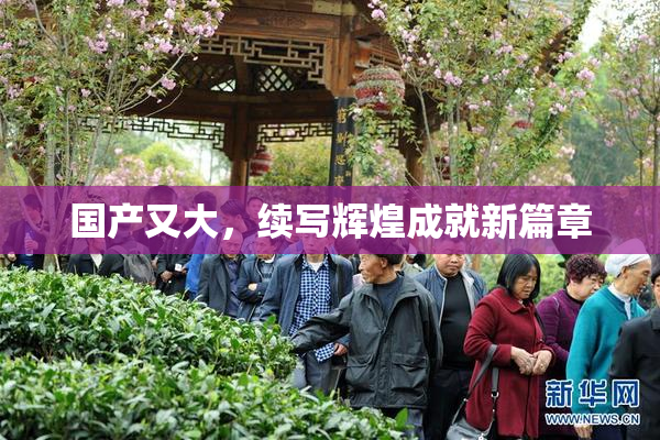 国产又大，续写辉煌成就新篇章