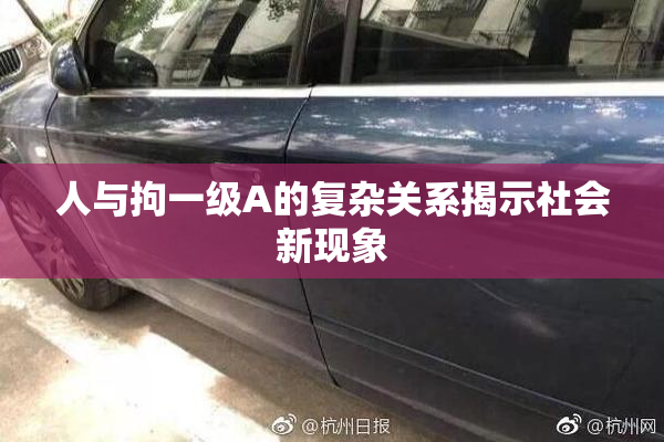 人与拘一级A的复杂关系揭示社会新现象