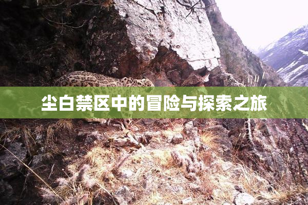 尘白禁区中的冒险与探索之旅