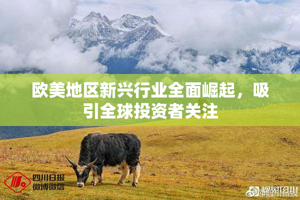 欧美地区新兴行业全面崛起，吸引全球投资者关注
