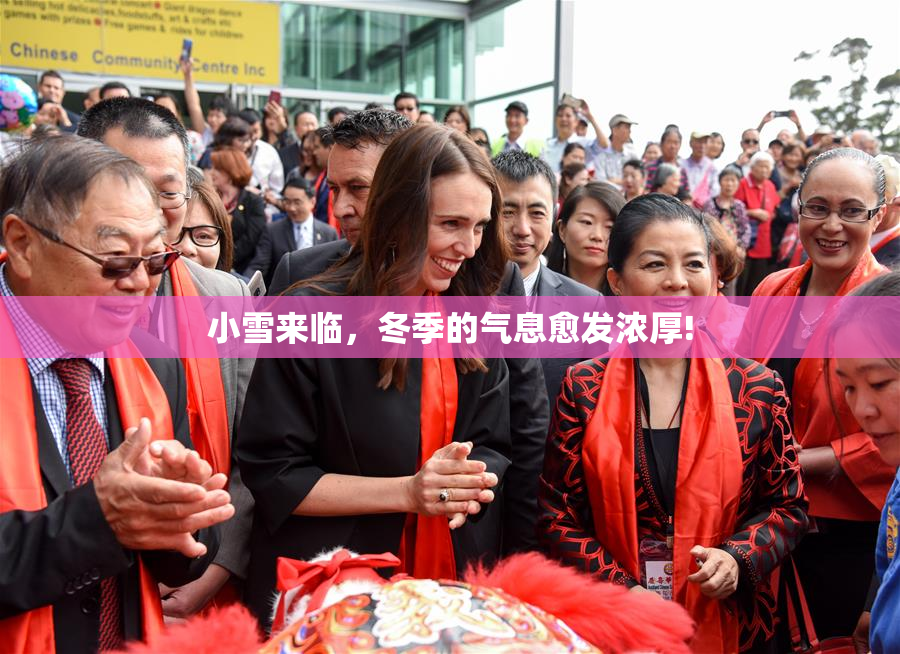 小雪来临，冬季的气息愈发浓厚!