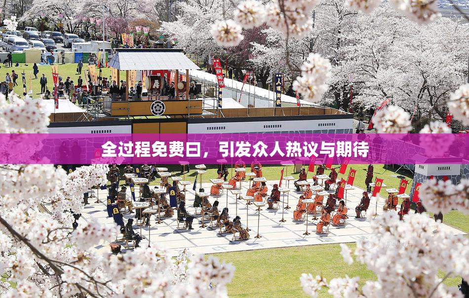 全过程免费曰，引发众人热议与期待
