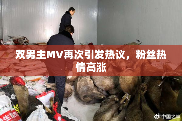 双男主MV再次引发热议，粉丝热情高涨
