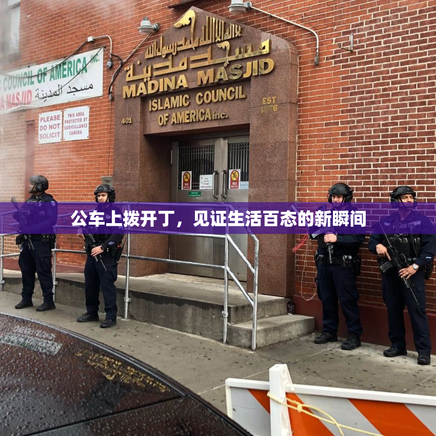 公车上拨开丁，见证生活百态的新瞬间
