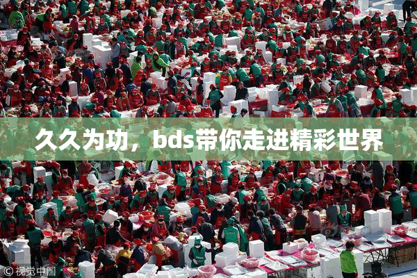 久久为功，bds带你走进精彩世界