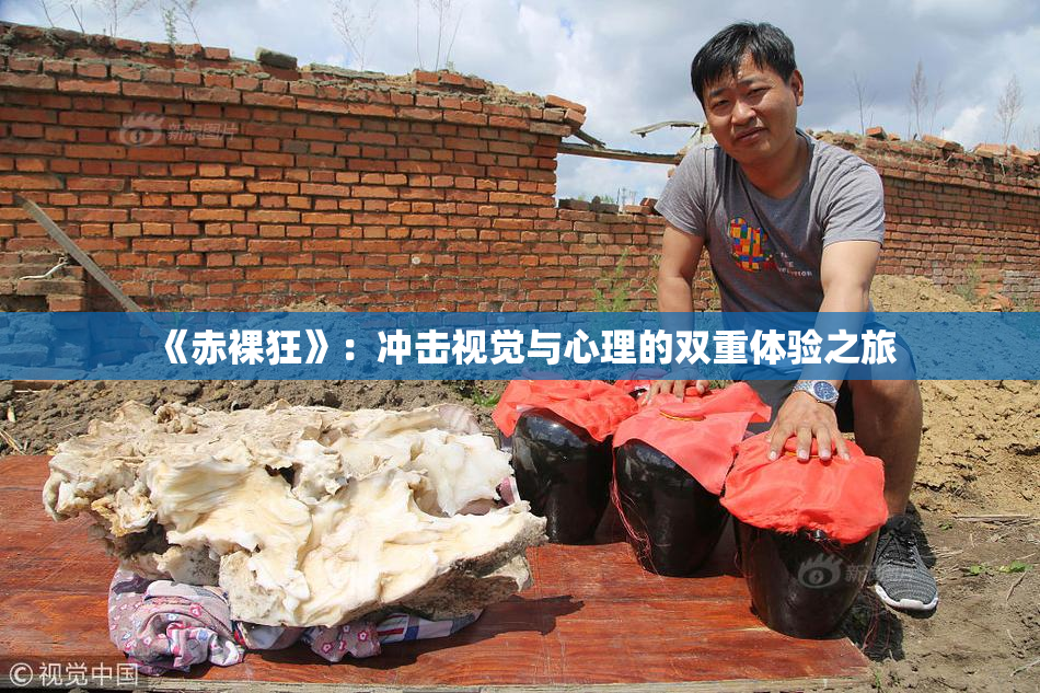 《赤裸狂》：冲击视觉与心理的双重体验之旅