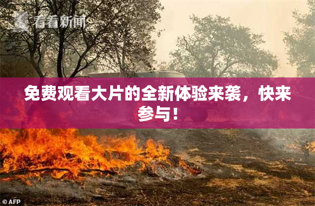 免费观看大片的全新体验来袭，快来参与！